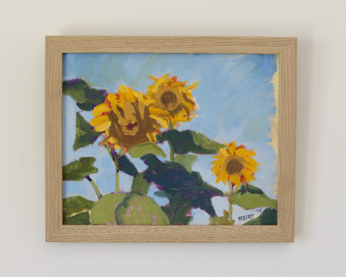 Sunflower Study