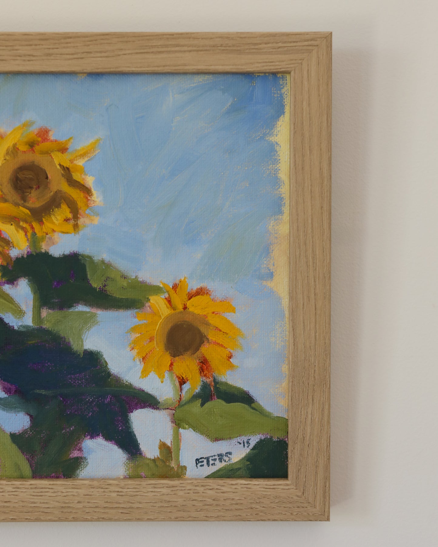 Sunflower Study