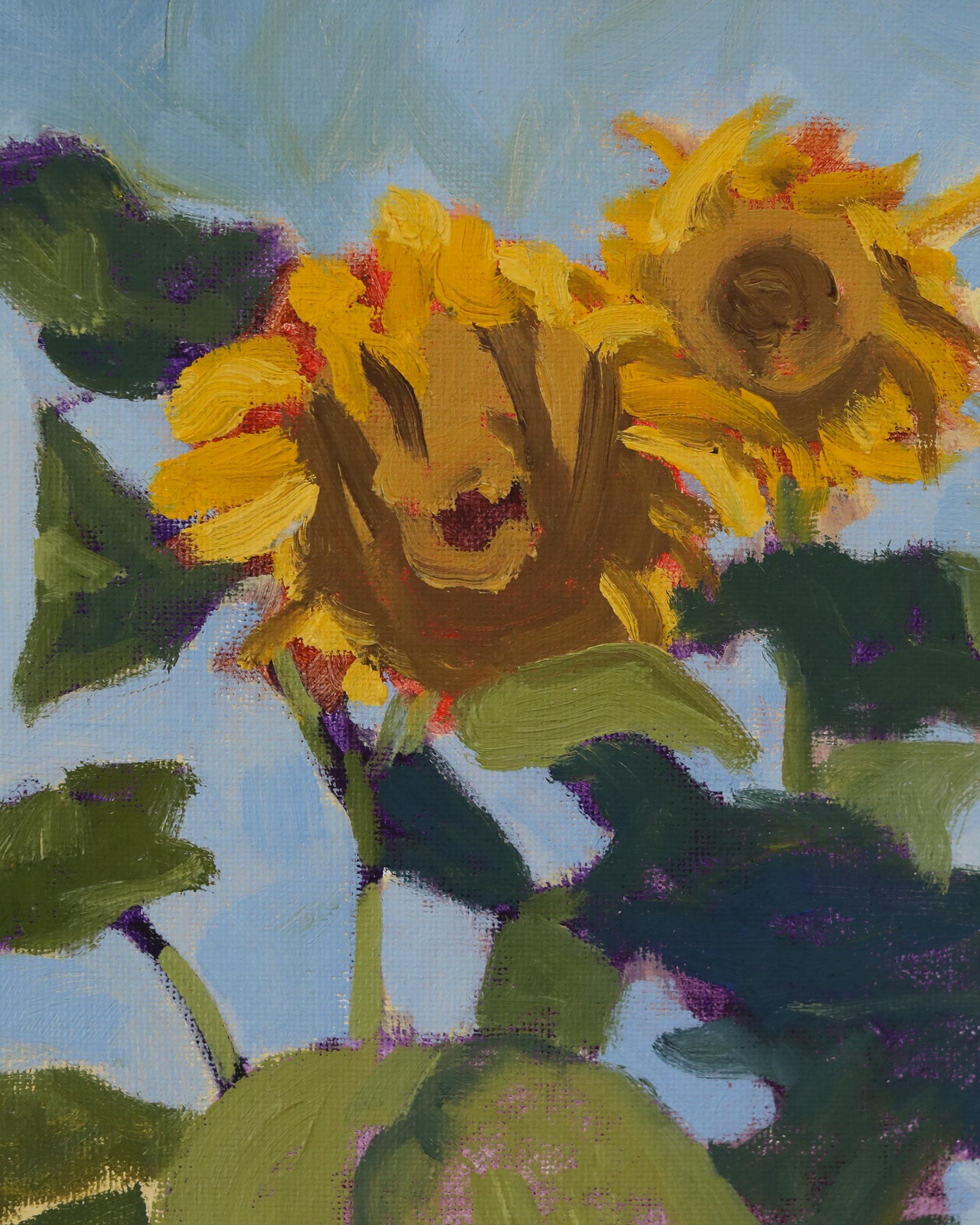 Sunflower Study