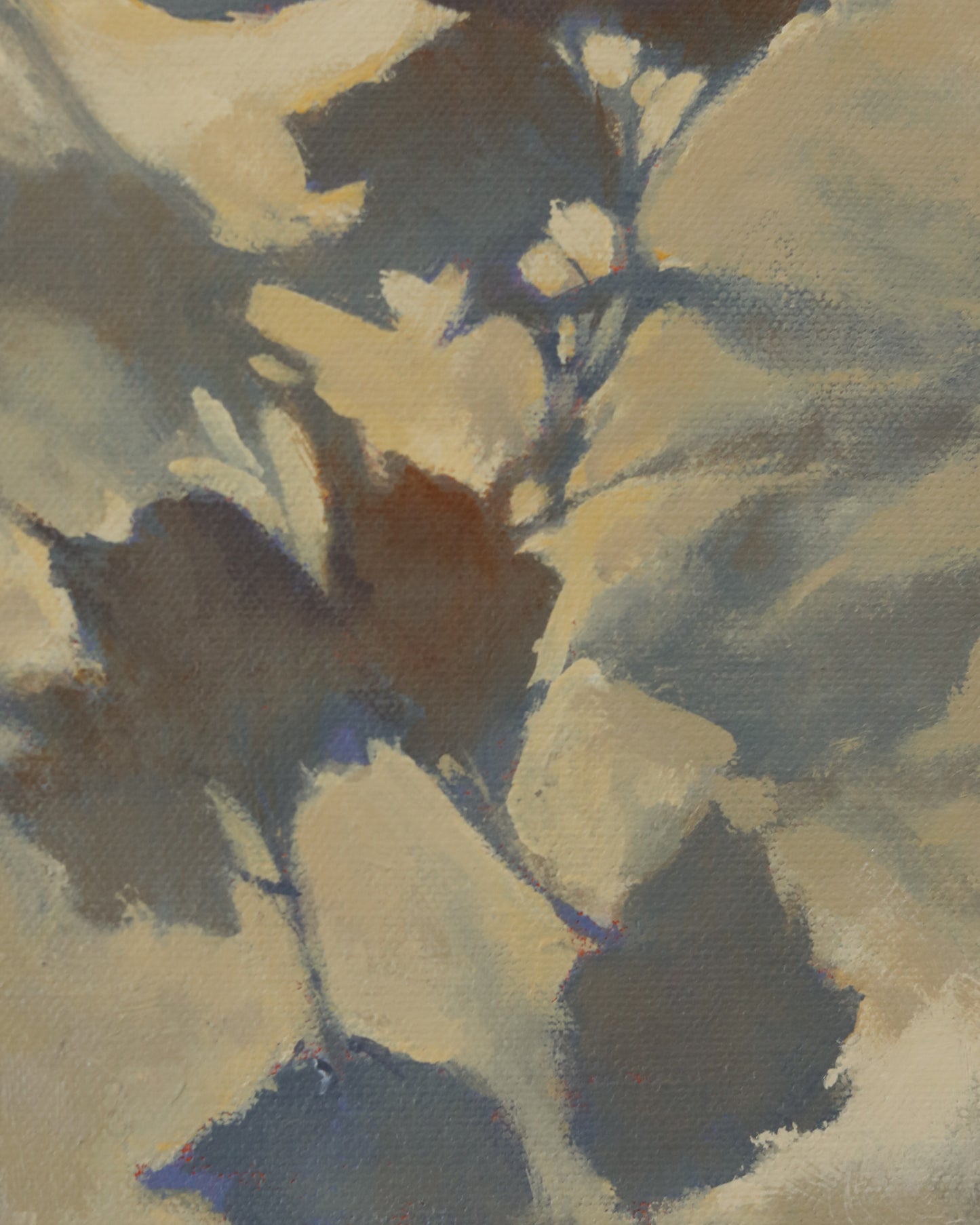 Canopy Light I