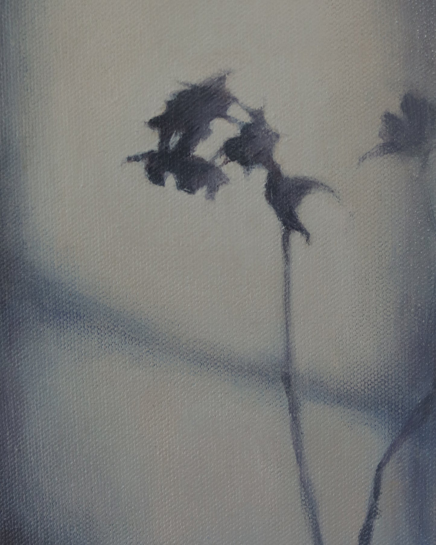 Light Study II