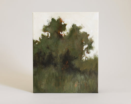 Forest Edge