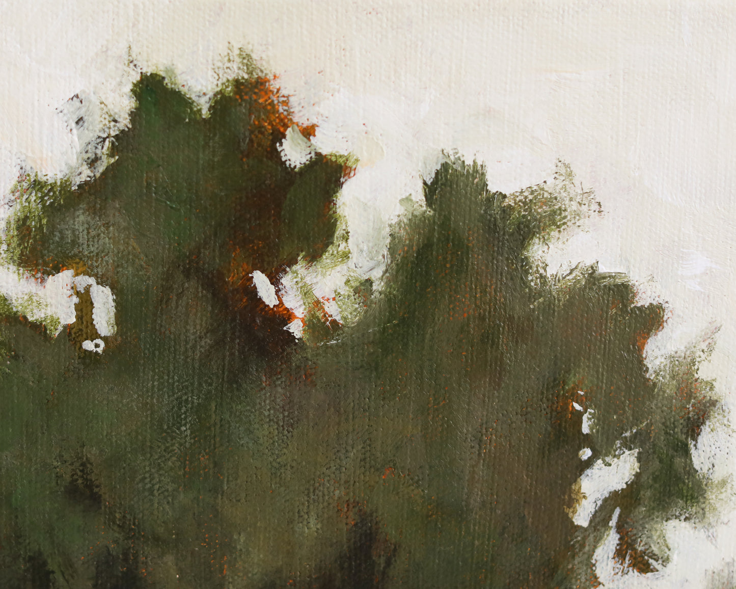 Forest Edge